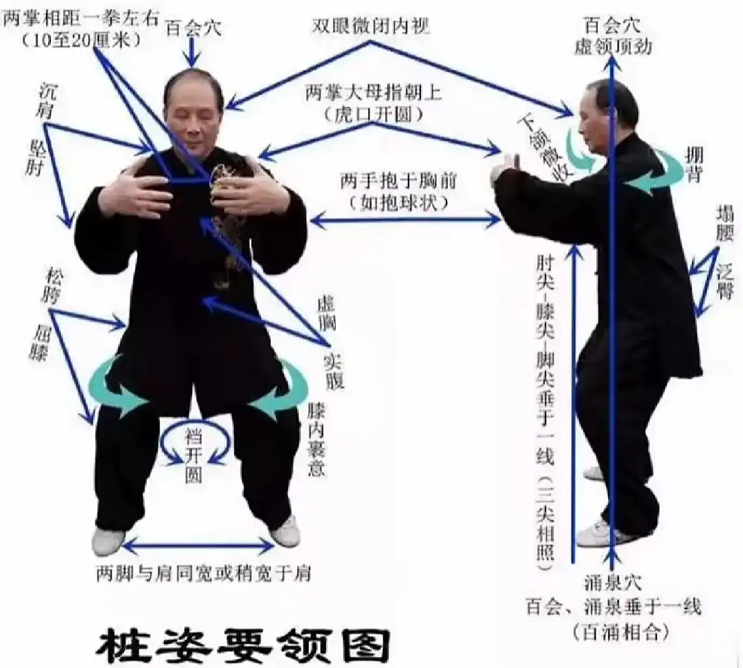 图片[1]-站桩姿势要领图解：从百会到涌泉，一文讲透站桩的核心身法 - 镜相渔夫-镜相渔夫